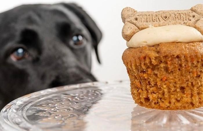 Smallcakes sales dog cupcake