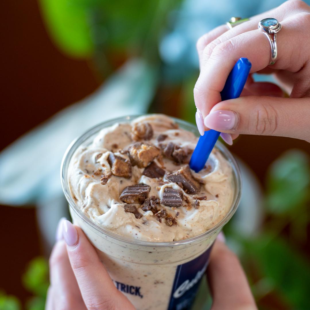 Culver's dog ice outlet cream