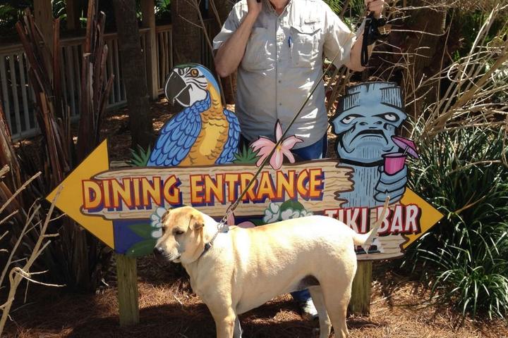 Pet Friendly Blue Parrot Ocean Front Cafe