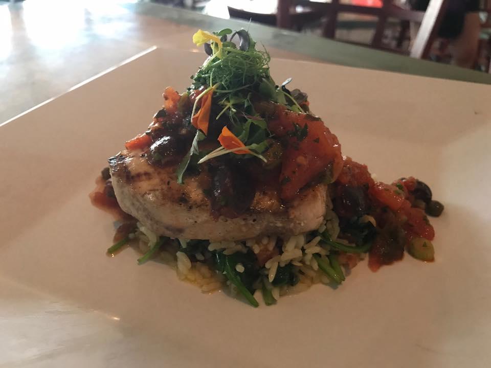 little live pets snuggles