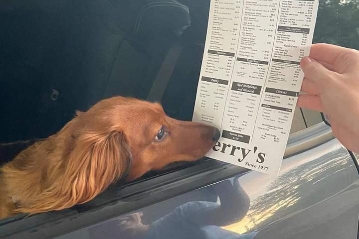 Pet Friendly Jerry's Drive-In