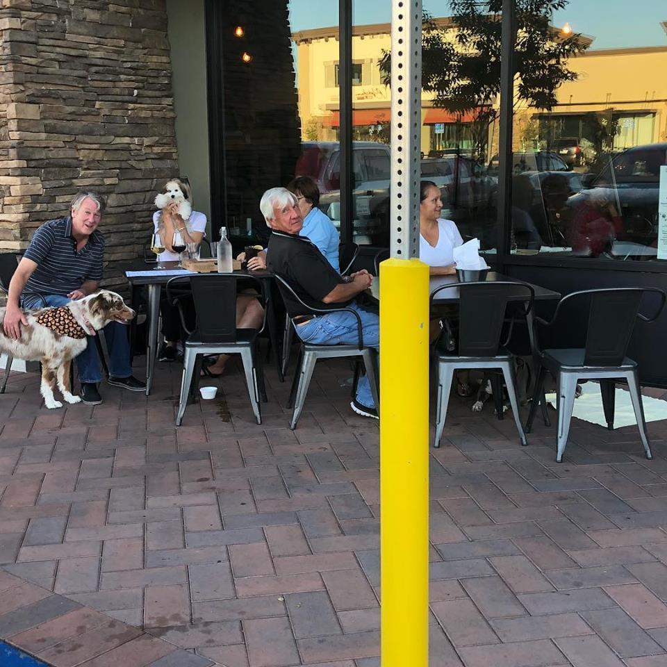 Angelo's Brick Oven Pizzeria Is Pet Friendly