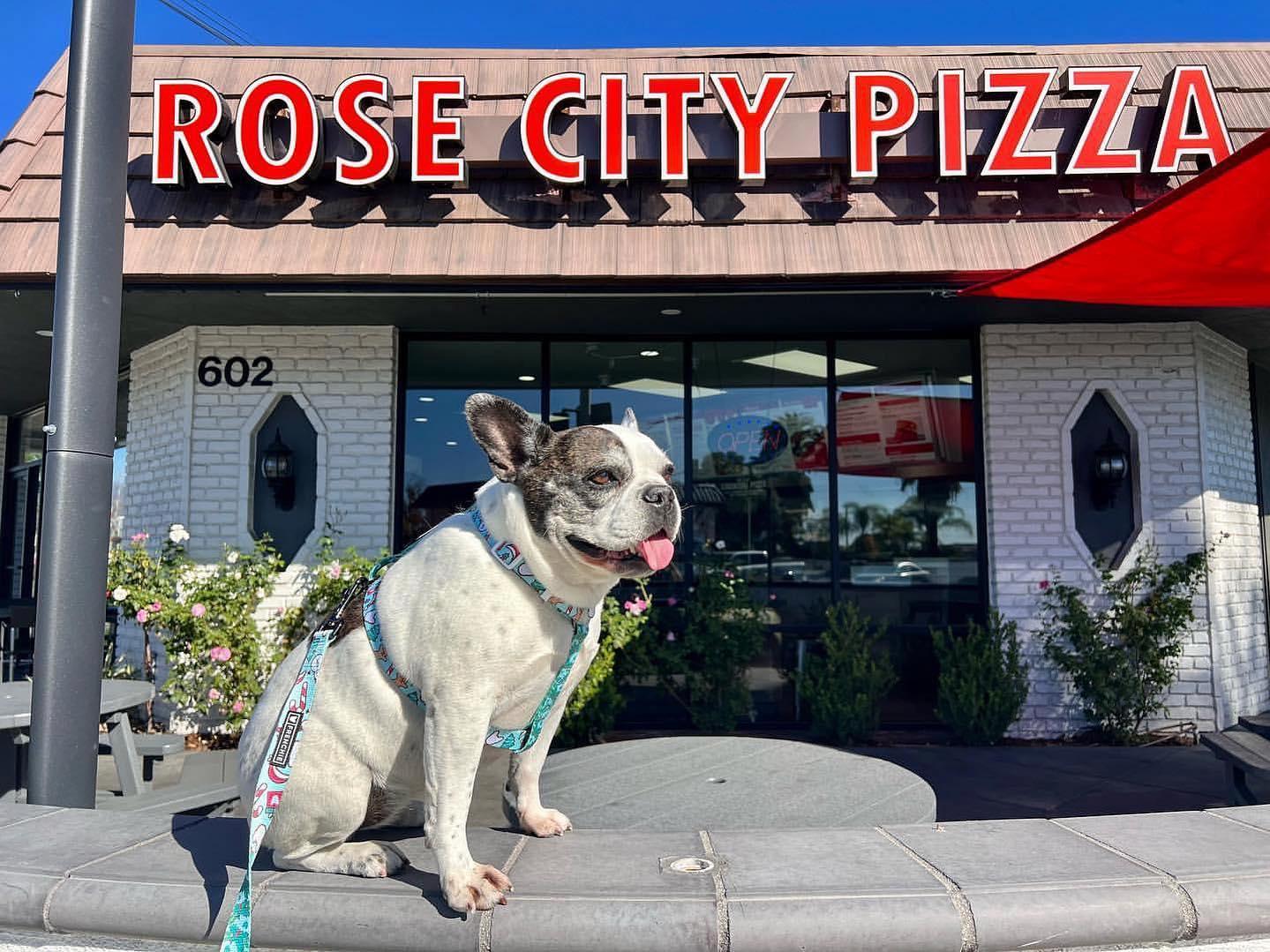 Pet Friendly Rose City Pizza