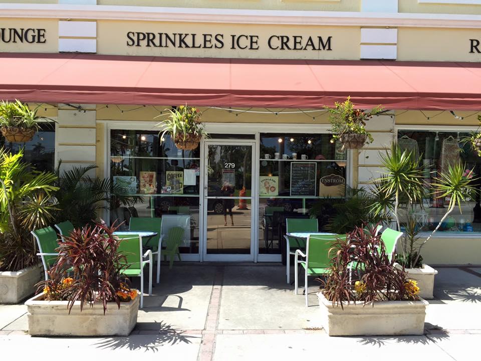 Pet Friendly Sprinkles Ice Cream and Sandwich
