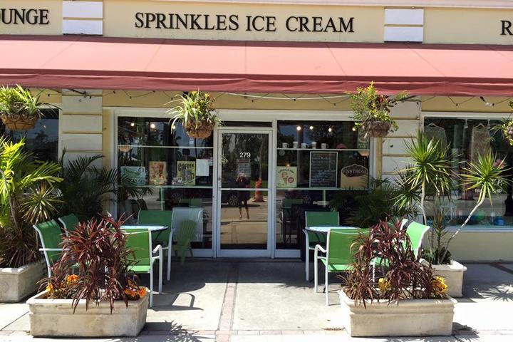 Pet Friendly Sprinkles Ice Cream and Sandwich
