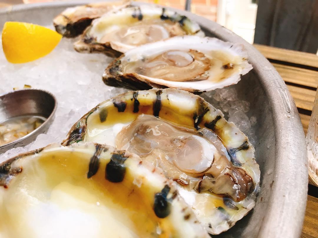 Boiler Room Oyster Bar Is Pet Friendly