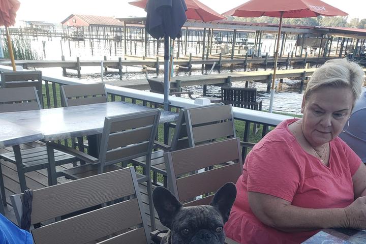 Dog Friendly Restaurants in Georgetown, FL - BringFido