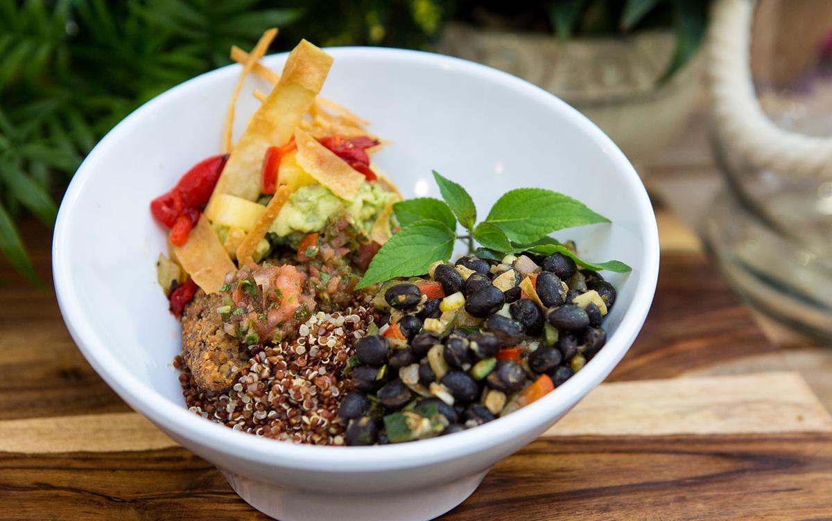 Sage Kitchen Is Pet Friendly