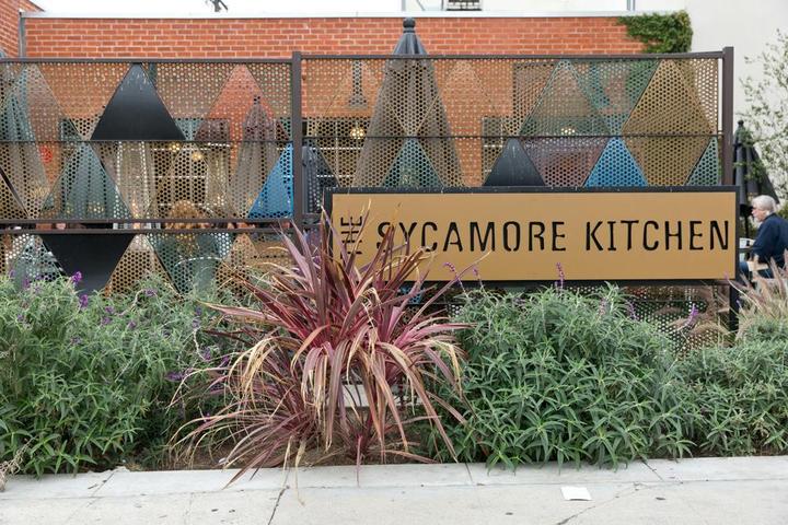 Pet Friendly The Sycamore Kitchen