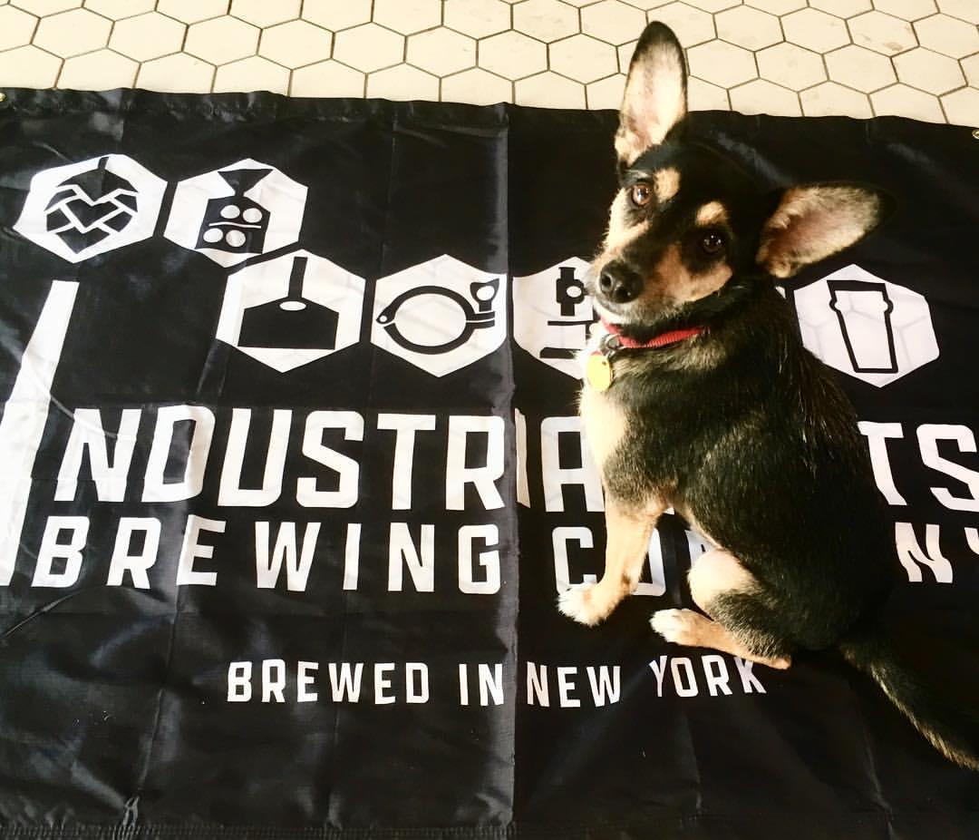 Pet Friendly Industrial Arts Brewing Company