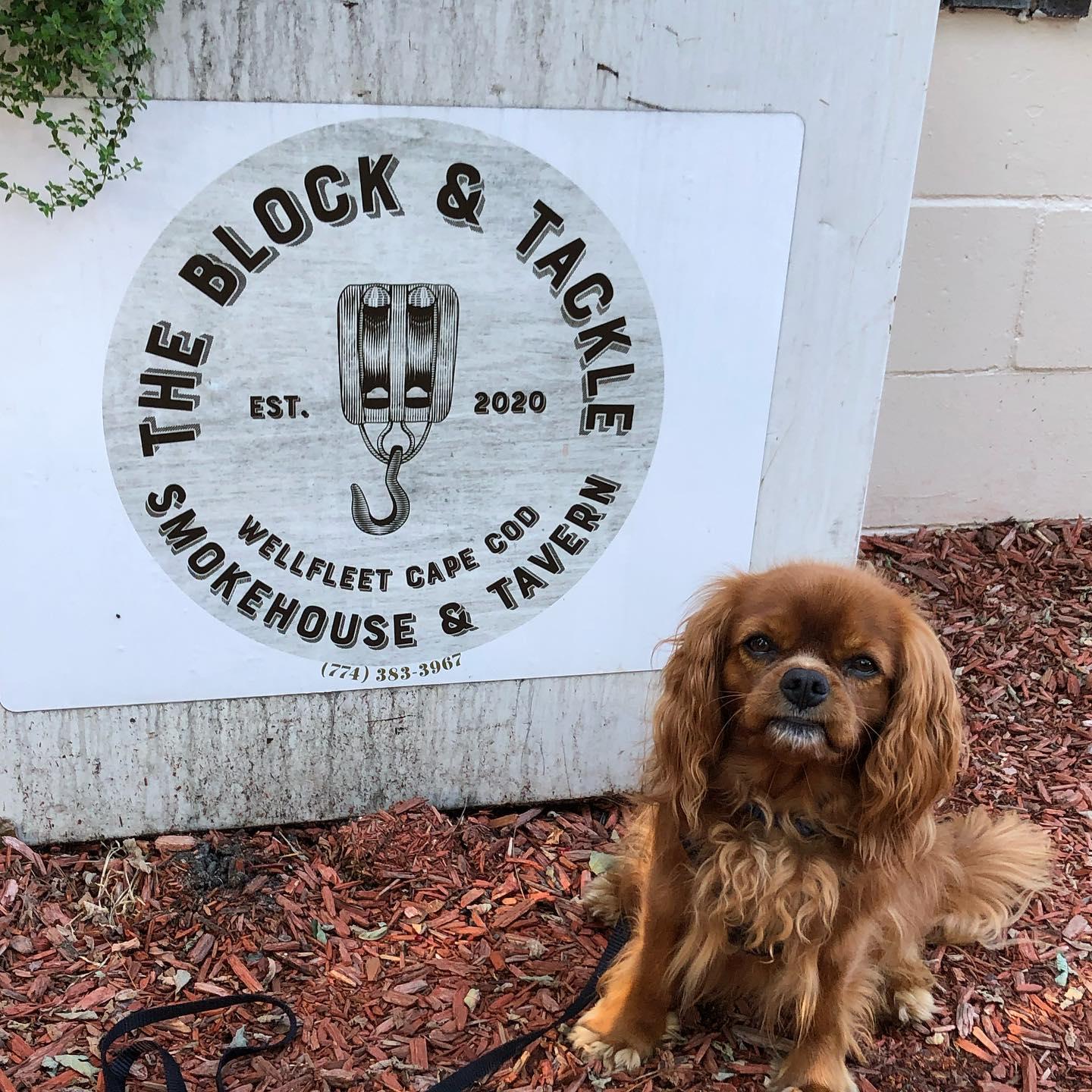 Pet Friendly The Block & Tackle