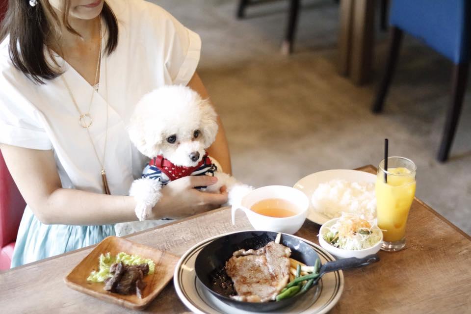 dog friendly places near me to eat
