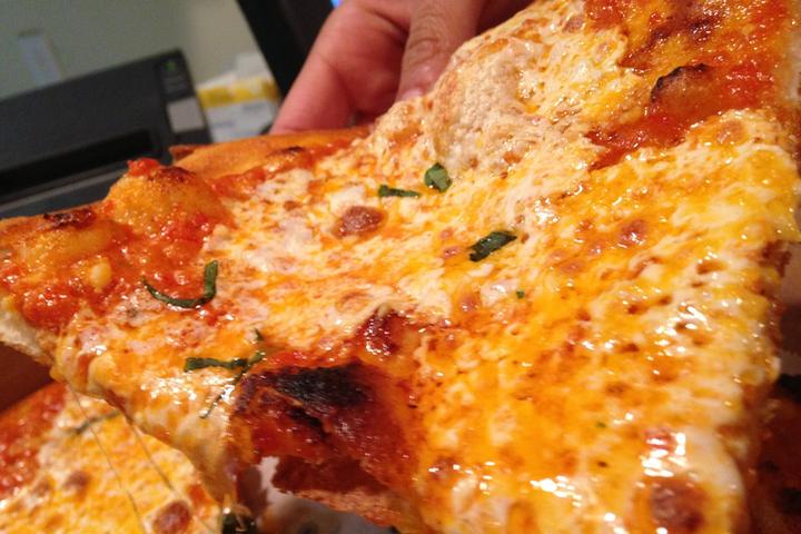 Pet Friendly Napoli's Brick Oven Pizza