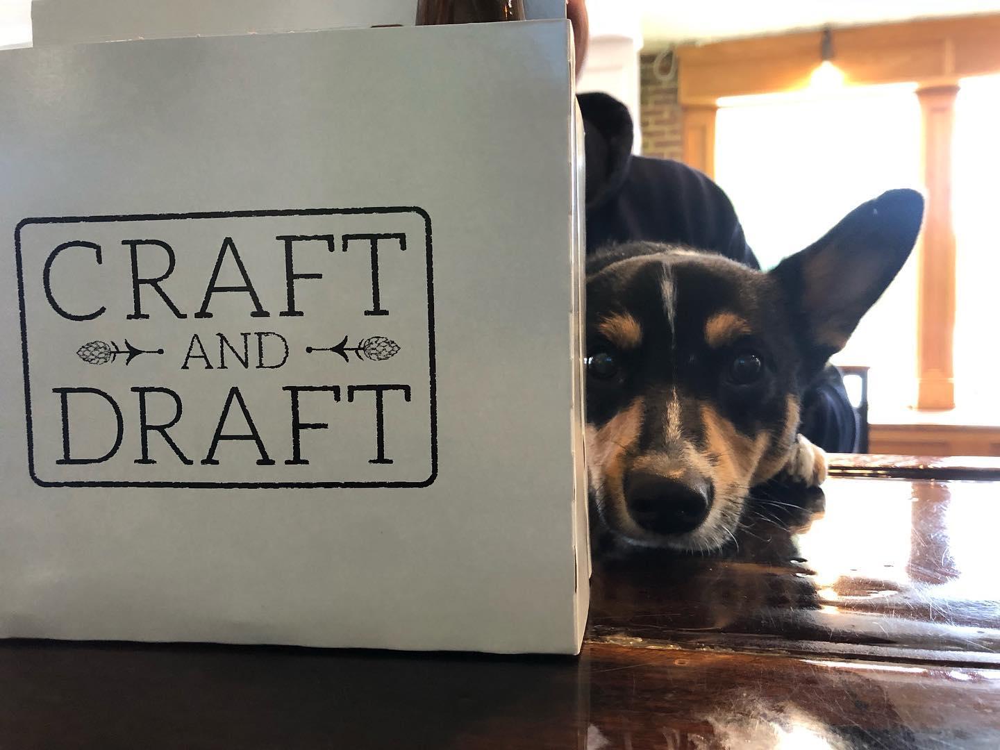 Pet Friendly Craft and Draft