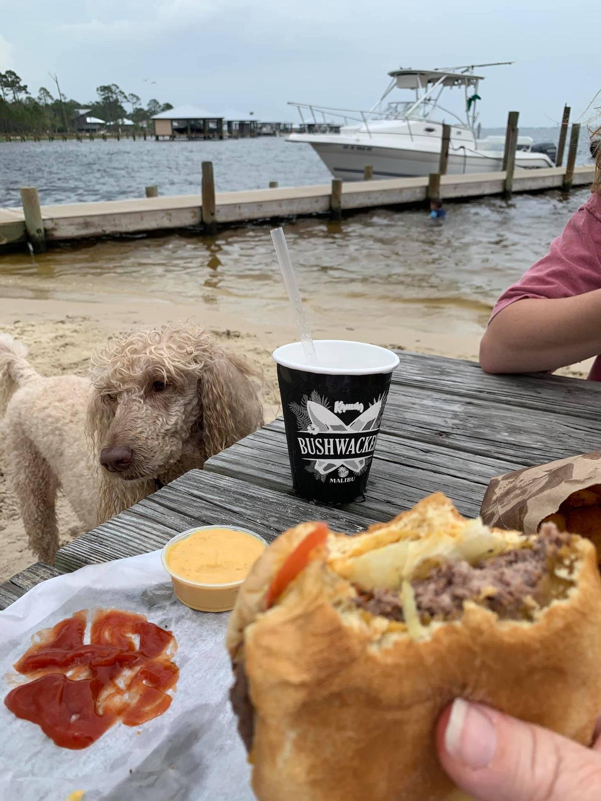 Pirates Cove Is Pet Friendly