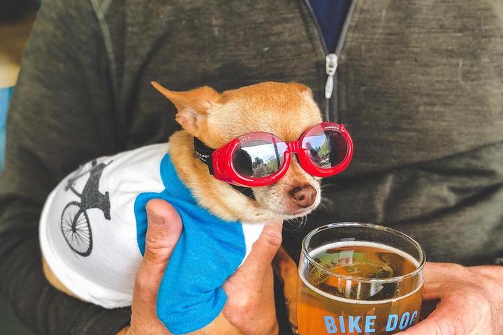 Pet Friendly Bike Dog Brewing Company