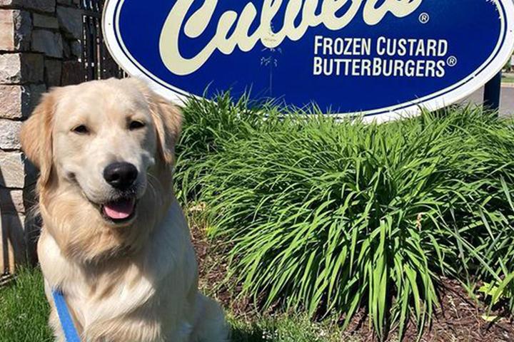 Pet Friendly Culver's Coldwater