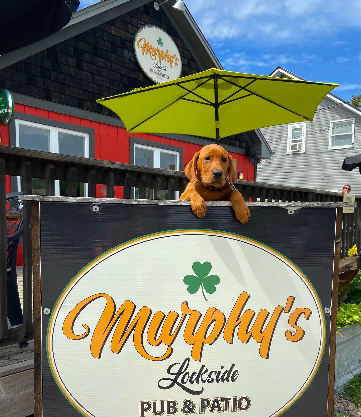 Pet Friendly Murphy's Lockside Pub & Patio