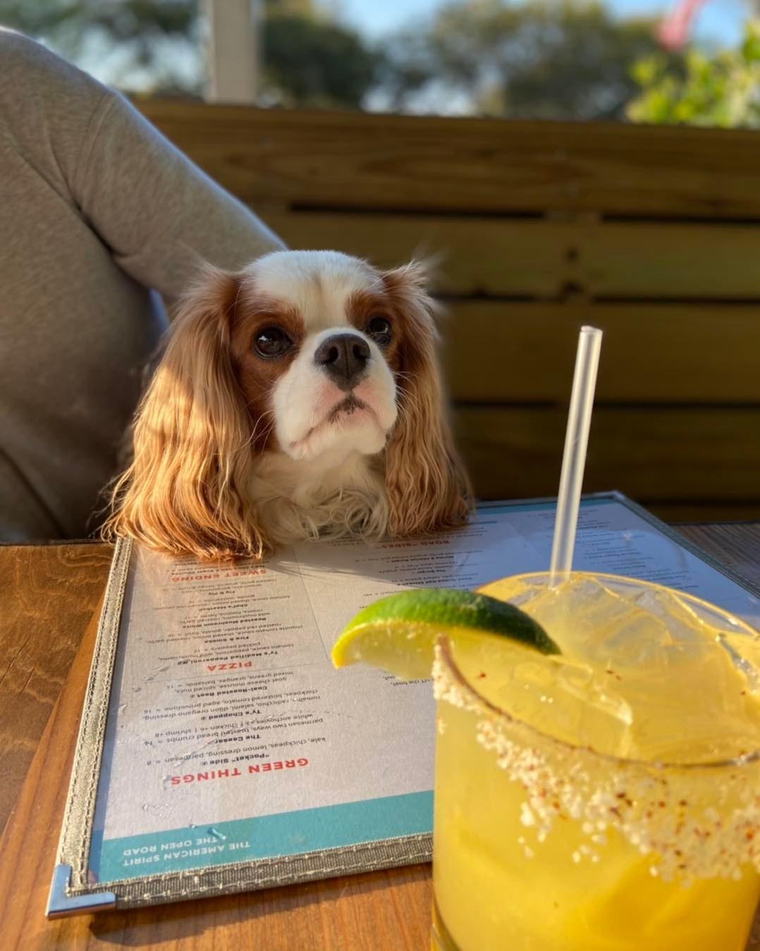 Ty's Roadside Coastal Kitchen Pet Policy