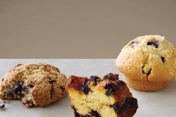 Dog Friendly Restaurants In New Brunswick Nj Bringfido