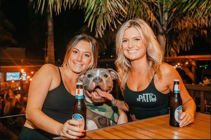 Pet Friendly The Patio Tampa