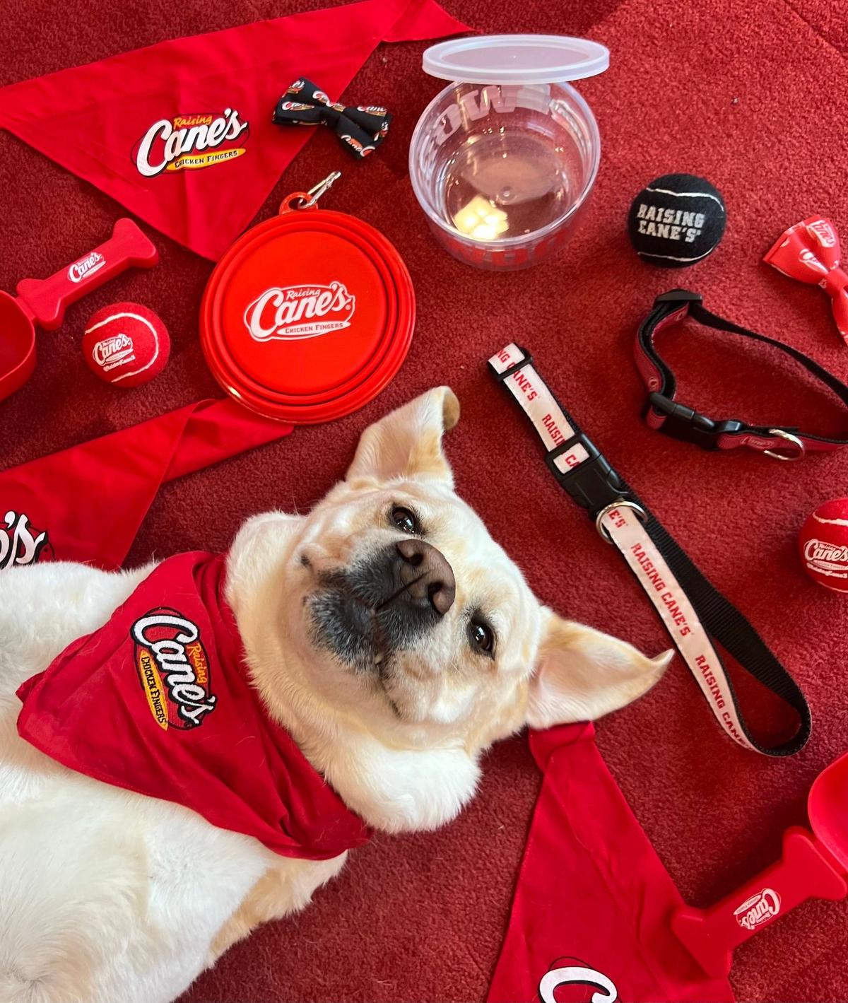 Raising Cane s Pet Policy raising-cane-s-pet-policy