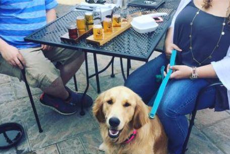 Dog Friendly Restaurants in Atkinson NH BringFido