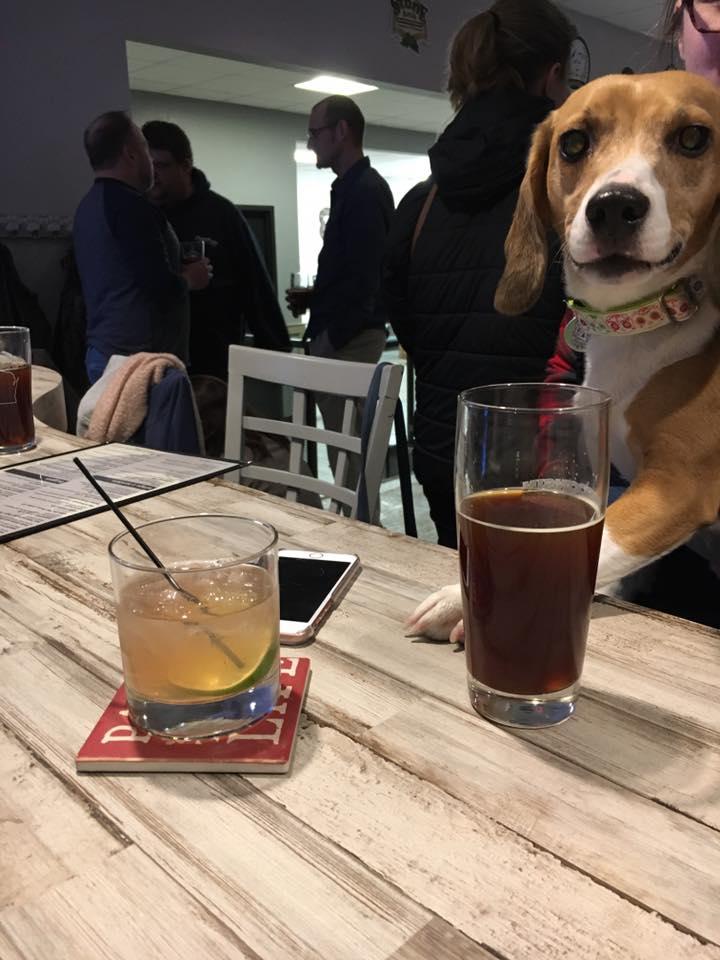 Dog Friendly Restaurants In Green Bay Wi - Bringfido