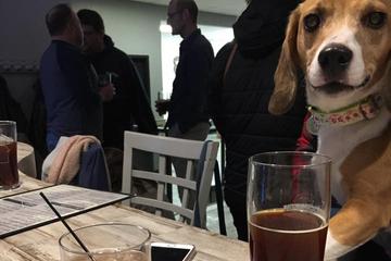 Dog Friendly Restaurants In Green Bay Wi Bringfido
