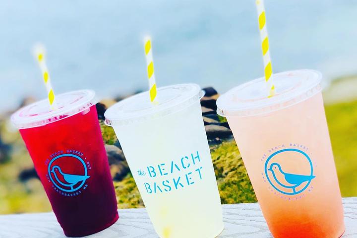 Pet Friendly Beach Basket