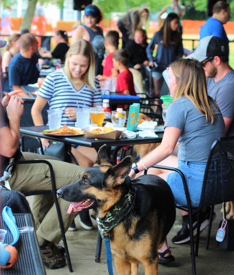Pet Friendly Straight to Ale at Campus 805