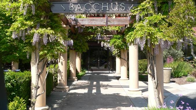 Pet Friendly Bacchus Restaurant & Wine Bar