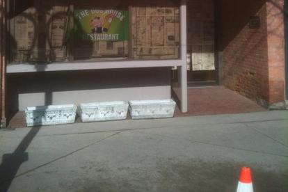 Dog Friendly American Restaurants in Tecumseh, MI - BringFido