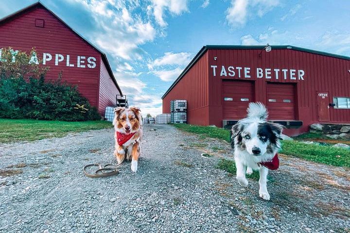 Pet Friendly Brooklyn Cider House at Twin Star Orchards
