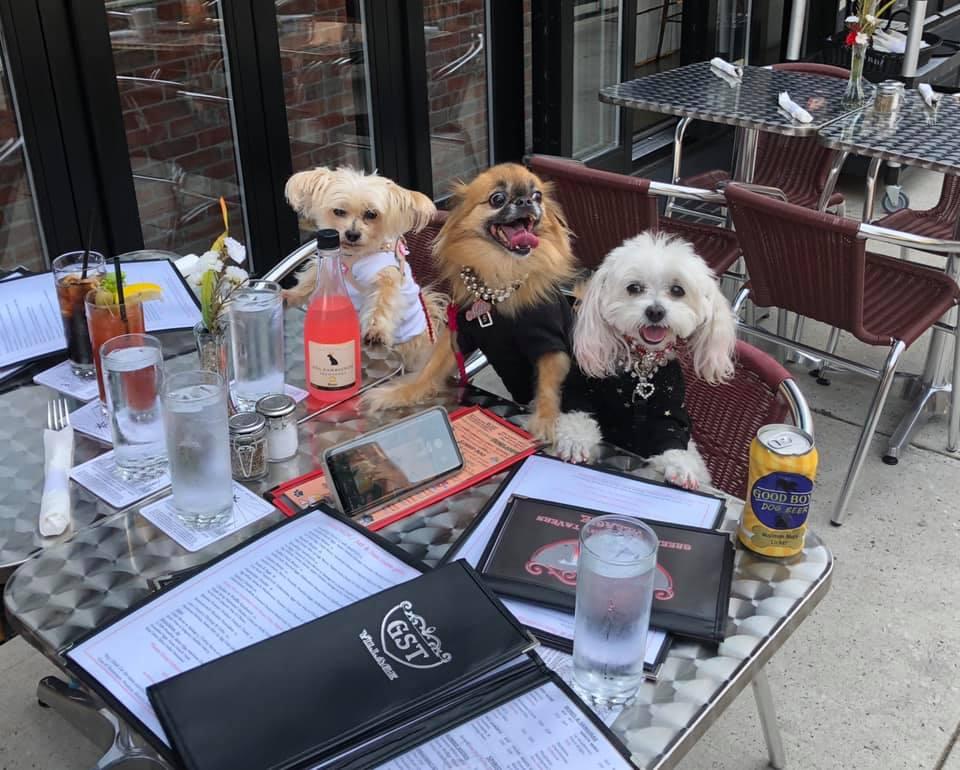 Judy Z’s Sports Tavern & Kitchen Pet Policy