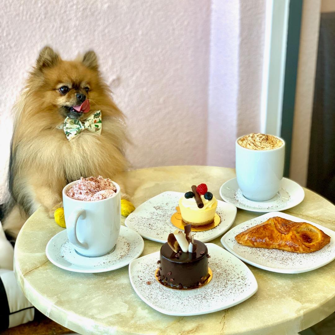 Pet Friendly Rendez Vous Cafe