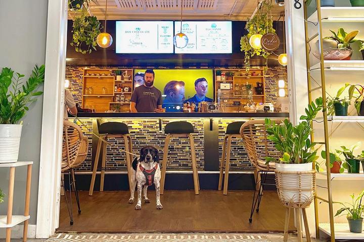 Pet Friendly Seed Cafe and Espresso Bar