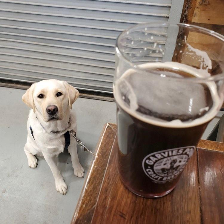 Pet Friendly Garvies Point Brewery