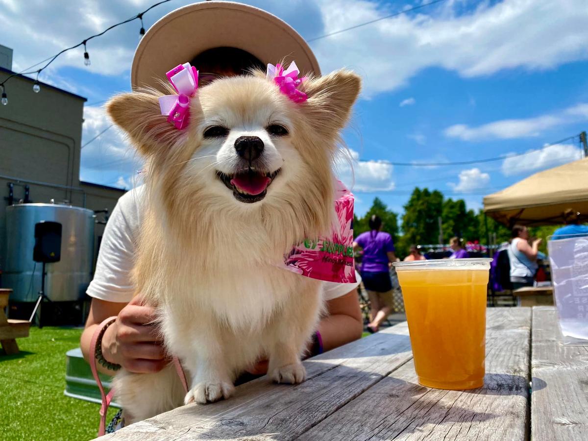 Dog Friendly Restaurants in St. Clair Shores MI BringFido