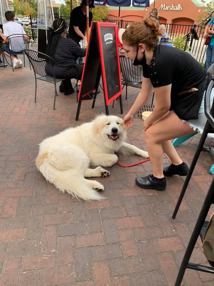 Pet Friendly Cheers Grille & Bar