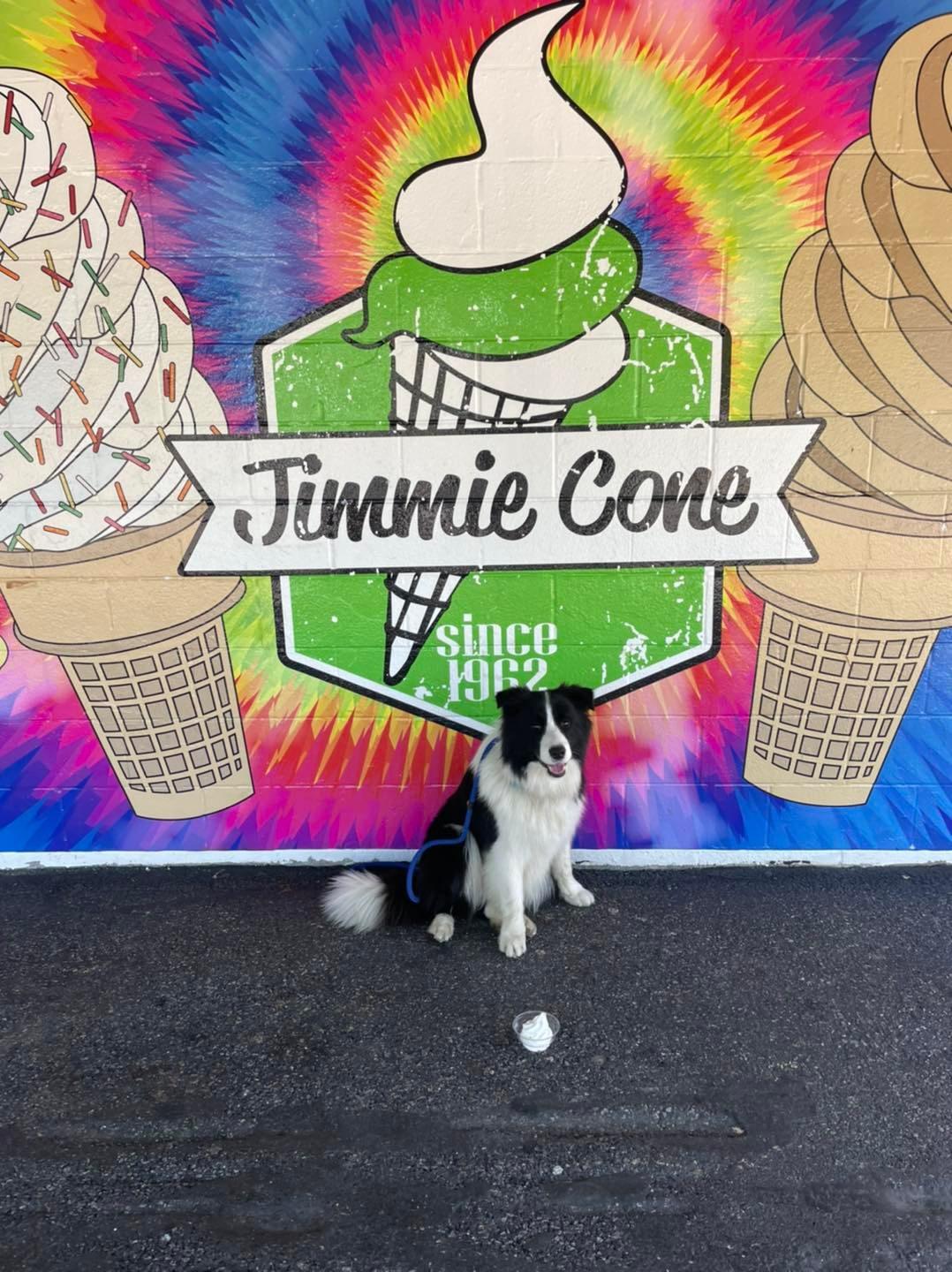 Pet Friendly Jimmie Cone