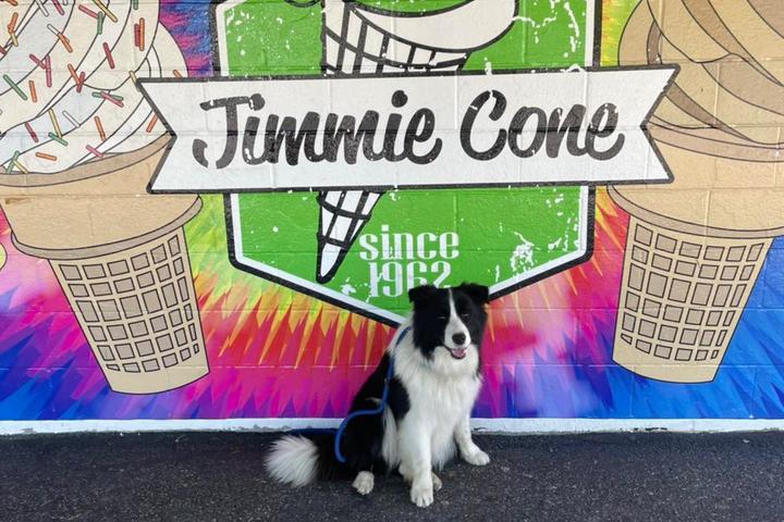 Pet Friendly Jimmie Cone