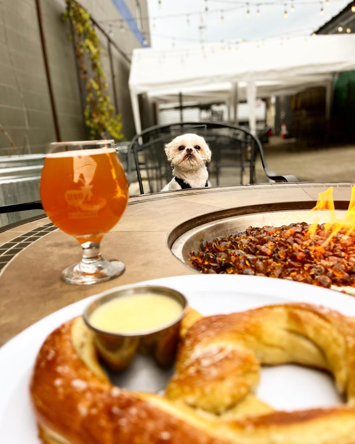 Dog friendly pubs that serve food sale