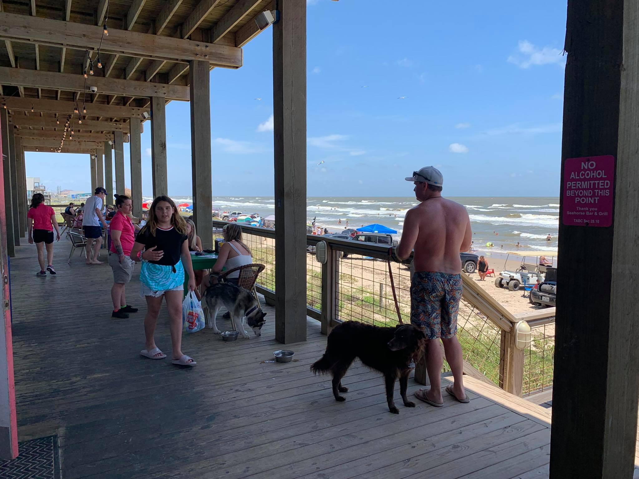 Dog Friendly Restaurants In Surfside Beach Tx Bring Fido