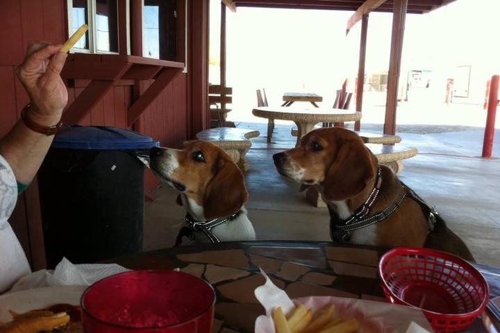 Pet Friendly Red Feather Off-Road Market & Cafe