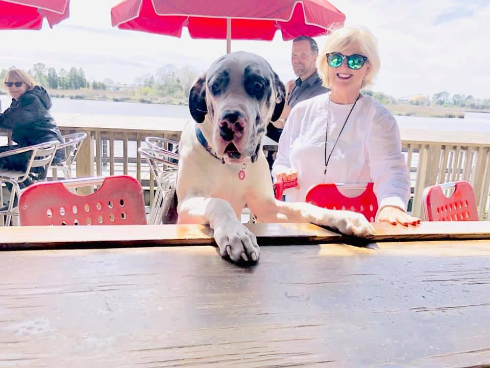 Dog Friendly Restaurants in Georgetown SC BringFido