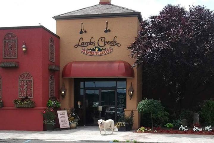 Dog Friendly Restaurants In Blossburg Pa Bringfido