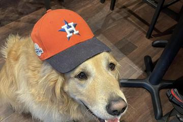 Walk-On's Sports Bistreaux (College Station, TX) Is Pet Friendly Walk-On's Sports Bistreaux (College Station, TX) Is Pet Friendly