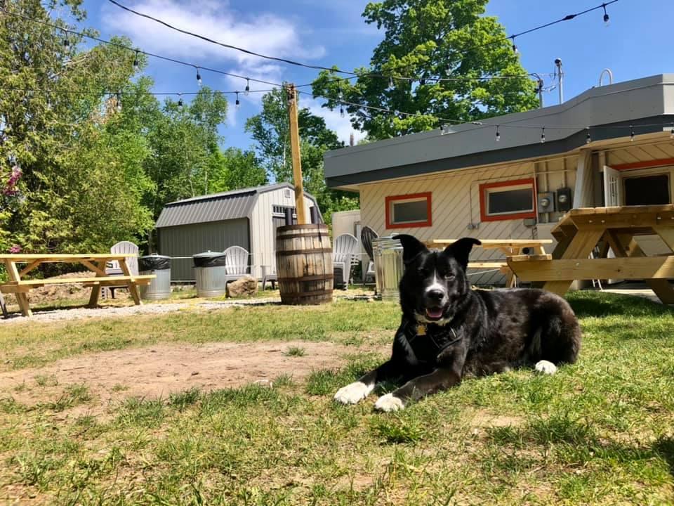 Dog Friendly Restaurants in Mackinaw City, MI BringFido