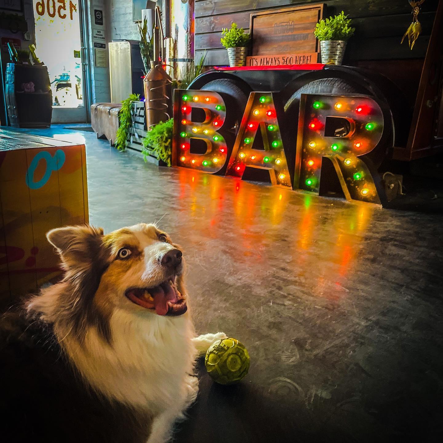 Horse Trailer Hideout Pet Policy